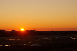 Ria Formosa 021.JPG Ria Formosa 021.JPG