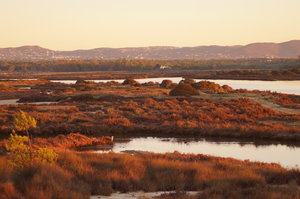 Ria Formosa 045.JPG Ria Formosa 045.JPG