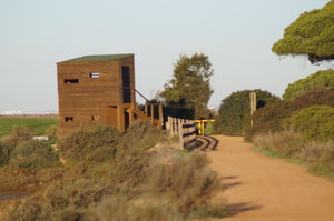 Ria Formosa 133.JPG Ria Formosa 133.JPG