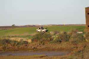 Ria Formosa 134.JPG Ria Formosa 134.JPG