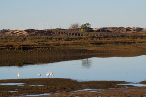 Ria Formosa 154.JPG Ria Formosa 154.JPG