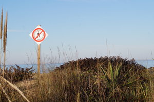 Ria Formosa 173.JPG Ria Formosa 173.JPG