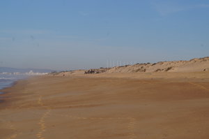 Ria Formosa 191.JPG Ria Formosa 191.JPG