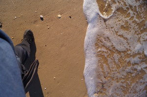 Ria Formosa 193.JPG Ria Formosa 193.JPG