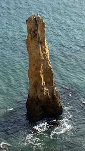 fullsizeoutput_2c2e.jpeg fullsizeoutput_2c2e.jpeg