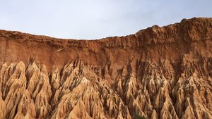 fullsizeoutput_2ca9.jpeg fullsizeoutput_2ca9.jpeg