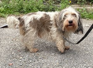 CECFA838-32DB-404D-8735-D9D9BBEA7096.jpeg CECFA838-32DB-404D-8735-D9D9BBEA7096.jpeg