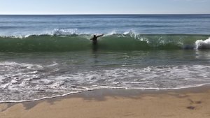 fullsizeoutput_2c7d.jpeg fullsizeoutput_2c7d.jpeg