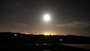 fullsizeoutput_2cb2.jpeg fullsizeoutput_2cb2.jpeg