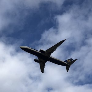 fullsizeoutput_2cd4.jpeg fullsizeoutput_2cd4.jpeg