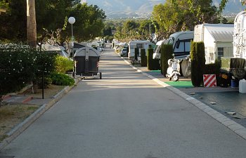 DSCN2881 (Medium).JPG DSCN2881 (Medium).JPG