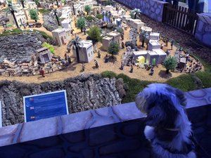 43342E48-2E11-43A4-BCB6-A37676DC54DA.jpeg 43342E48-2E11-43A4-BCB6-A37676DC54DA.jpeg