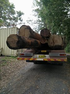 IMG_20171109_120925.jpg IMG_20171109_120925.jpg