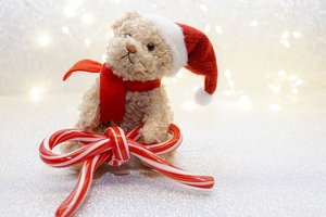 christmas-3852168__480.jpg