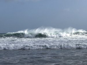 X%nxsbXhSr+5J9BhB6T30A.jpg