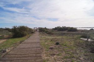 Isla Cristina, La Antilla 007.JPG