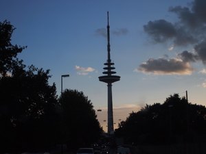 P9287425 (Medium).JPG