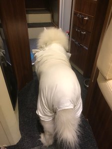 Bornholm.jpeg Bornholm.jpeg