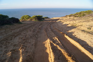 Mazagon El Rocio El Puerto 028.JPG