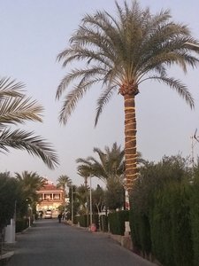 A56C32AF-1D13-4981-BB86-EB71D792324C.jpeg A56C32AF-1D13-4981-BB86-EB71D792324C.jpeg