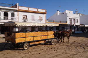 Mazagon El Rocio El Puerto 054.JPG
