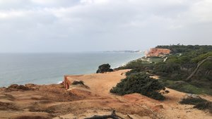 fullsizeoutput_2d63.jpeg fullsizeoutput_2d63.jpeg