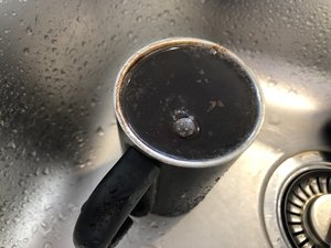 2D941F5E-C93C-4366-8F54-010CB216CC89.jpeg 2D941F5E-C93C-4366-8F54-010CB216CC89.jpeg