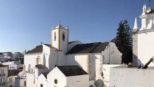 fullsizeoutput_2dac.jpeg fullsizeoutput_2dac.jpeg