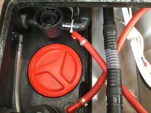 5B2EE256-F3B5-412D-BBD6-D78D8596CD1F.jpeg 5B2EE256-F3B5-412D-BBD6-D78D8596CD1F.jpeg