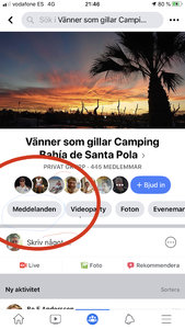 8324995F-7D83-4998-B243-347F1A6F71F9.jpeg 8324995F-7D83-4998-B243-347F1A6F71F9.jpeg