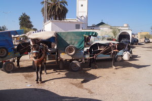 Camp des Oliviers 012.JPG