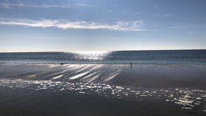 fullsizeoutput_2dd0.jpeg fullsizeoutput_2dd0.jpeg