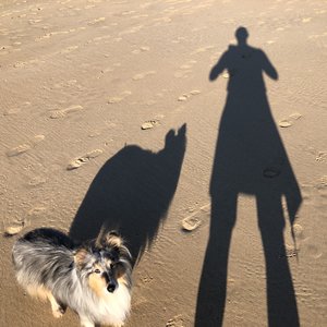 fullsizeoutput_2dc4.jpeg fullsizeoutput_2dc4.jpeg