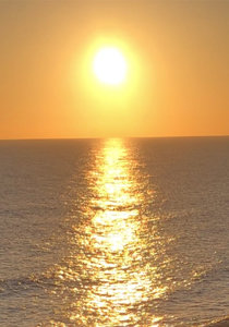 fullsizeoutput_2de1.jpeg fullsizeoutput_2de1.jpeg