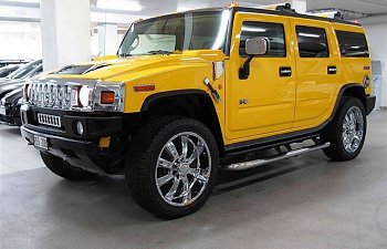 IMG_0856 (Medium).JPG IMG_0856 (Medium).JPG