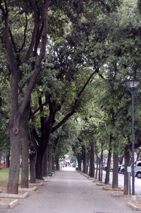 DSC_01090092 (Medium).JPG