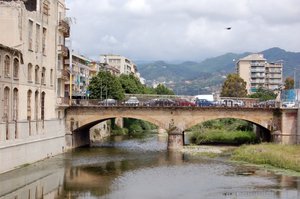 DSC_01030086 (Medium).JPG