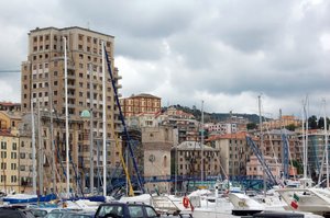 DSC_00910077 (Medium).JPG