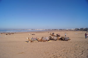 Essaouira Fric Parkerin Adadir 004.JPG
