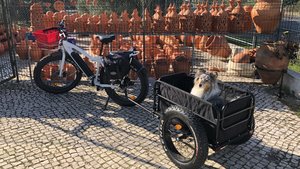 fullsizeoutput_2e19.jpeg fullsizeoutput_2e19.jpeg