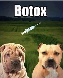 fullsizeoutput_2e27.jpeg fullsizeoutput_2e27.jpeg