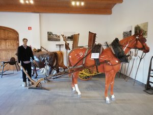 IMG_20200116_092533.jpg
