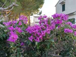 IMG_20200116_171913.jpg