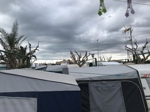 6914323E-A8F1-42CD-BD44-9956B65E9820.jpeg 6914323E-A8F1-42CD-BD44-9956B65E9820.jpeg