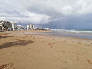 IMG_20200120_141628.jpg