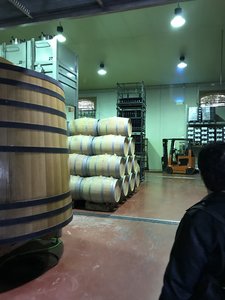 6E96BF93-15F7-4C06-A933-9B9AB0D19A34.jpeg 6E96BF93-15F7-4C06-A933-9B9AB0D19A34.jpeg