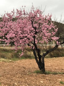 844B40E8-259A-4FD7-AD66-1A5788EAB4BA.jpeg 844B40E8-259A-4FD7-AD66-1A5788EAB4BA.jpeg