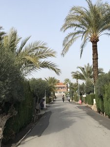 91979A11-3DE3-4CC7-BA65-D776DF6B3EF8.jpeg 91979A11-3DE3-4CC7-BA65-D776DF6B3EF8.jpeg