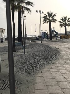 B668D53E-FFD4-4F0F-9D4B-8E2B1E8C4A5C.jpeg B668D53E-FFD4-4F0F-9D4B-8E2B1E8C4A5C.jpeg