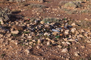 Sidi Ifni Camp 009.JPG